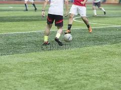 中国贸促会,举办,月常规新闻,ebpay,ebpay钱包,ebpay钱包官网下载