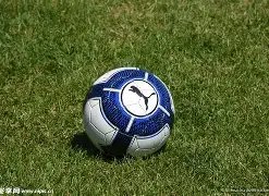 窦骁何超莲,婚后生活警,财富并非万,ebpay,ebpay钱包,ebpay钱包官网下载