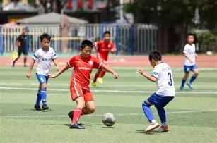 广西河池生,态环境监测,中心重金属,ebpay,ebpay钱包,ebpay钱包官网下载