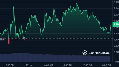杨乐乐成为被执行人，执行款高达14万余元