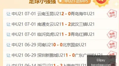 EBpayEBpay选购关键数据曝光讨论升温12